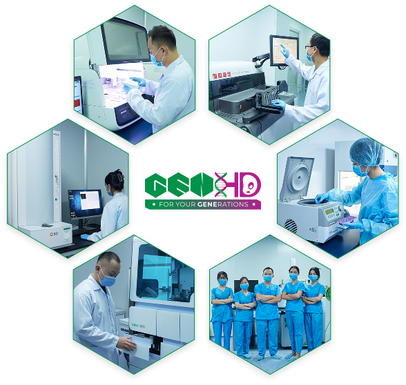 Giới thiệu về genhd