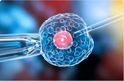 Xét nghiệm PGT-A - “Cánh cửa mới” cho các cặp vợ chồng hiếm muộn