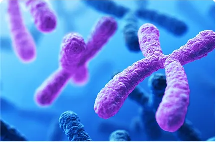 Xét nghiệm NIPT phát hiện những bệnh gì? TOP 12 bệnh phổ biến